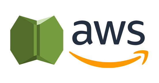 AWS Sheild